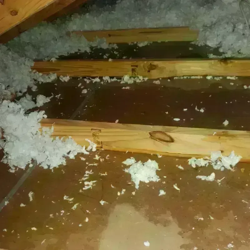 Attic Water Damage in Middle Valley, TN